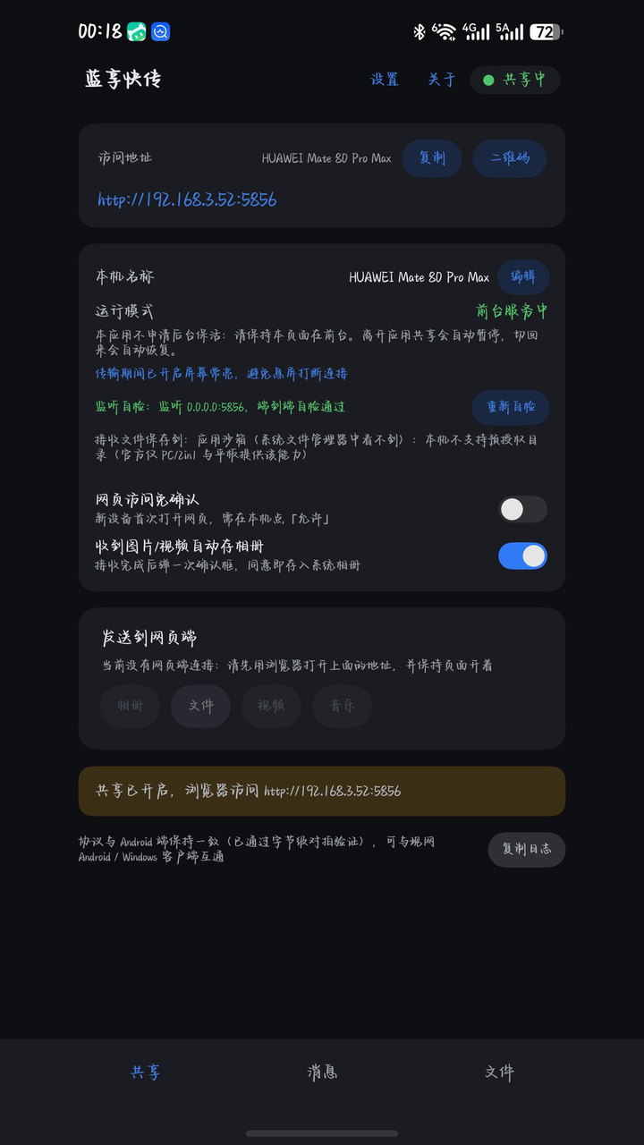 共享页：本机名称、访问地址 http://192.168.3.52:5856、监听 0.0.0.0:5856 的自检结果，都在首屏